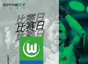 开云体育登录-霍芬海姆助攻榜前三，攻击力值得期待的简单介绍