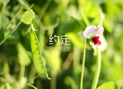 开云体育官网-新王登基与旧秩序崩塌，青春风暴下的欧洲足球之夜