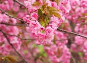 开云APP-挺身而出！劳塔罗一剑封喉，美国队绝境突围尼斯城