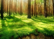 开云体育入口-若以假设或未来可能的对决为背景，我为您构思如下