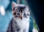 开云体育中国-门徒弑师，文班亚马的数字墓碑与热火的最后一舞