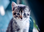 开云体育中国-门徒弑师，文班亚马的数字墓碑与热火的最后一舞