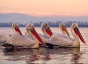 开云下载-意甲焦点战之夜，阿什拉夫钢铁防线，锁死对手的完美演绎