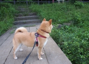 开云体育app-特奥横刀立马，马里起死回生晋级沙特，黄金一代正崛起