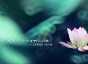 开云-爆冷与稳赢，上海队战术奏效，活塞队悬念何存？