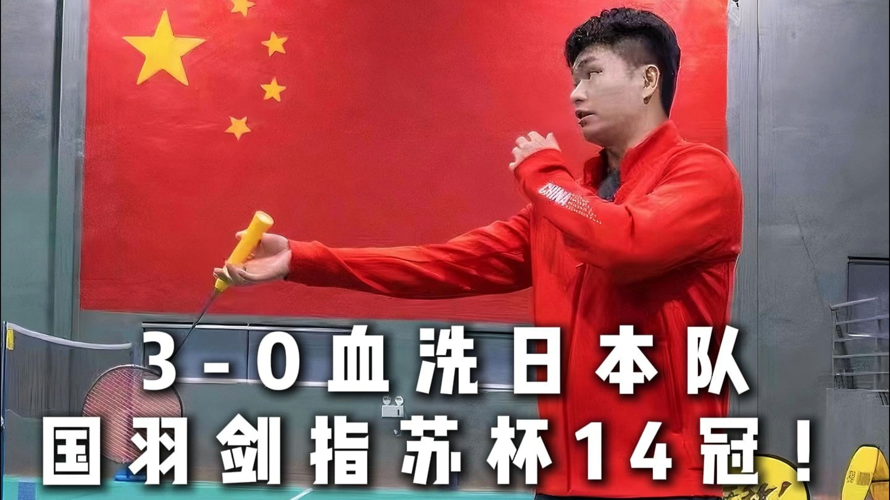 瑞典乒乓球队血洗日本乒乓球队，水谷隼绝境逆转的简单介绍