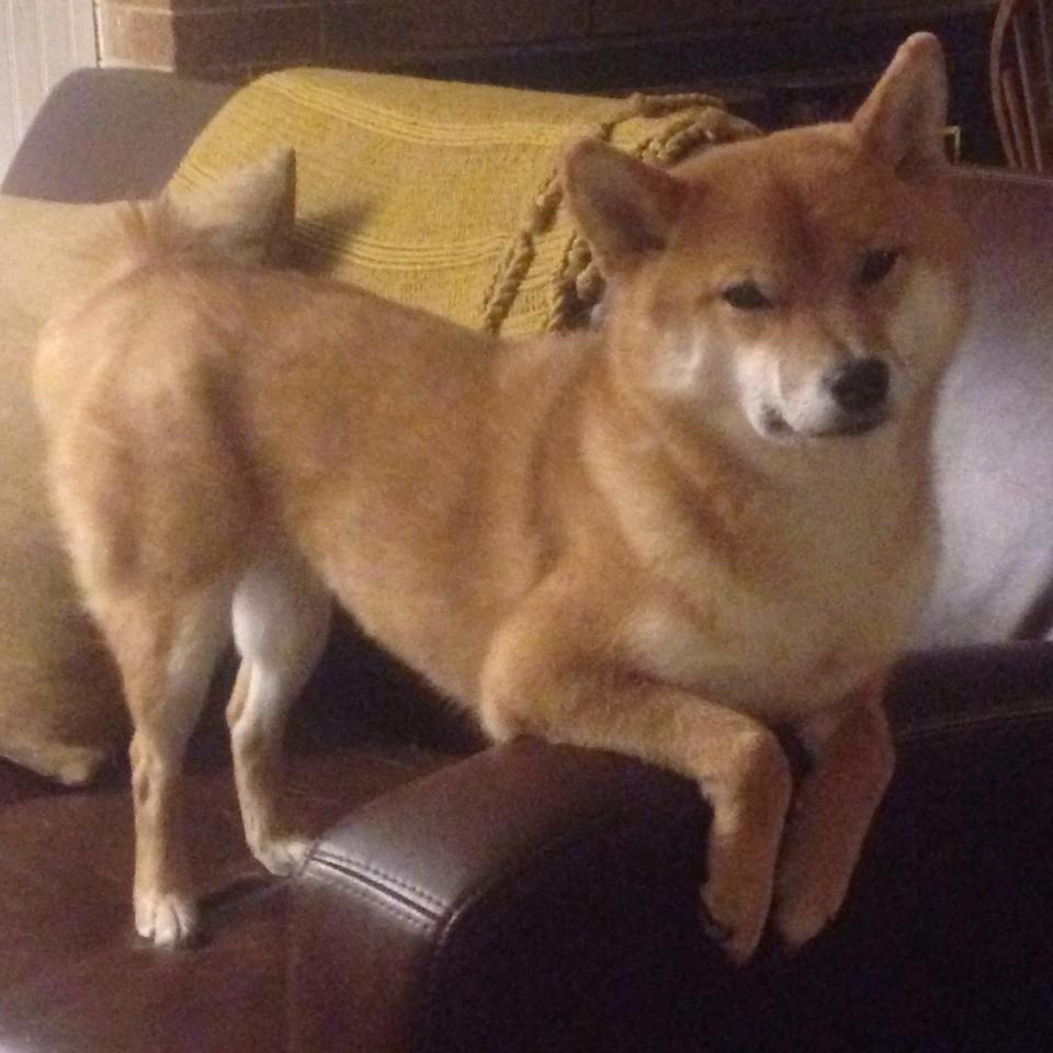 暴雨夜,范弗利特把三分里程碑刻进珠江记忆