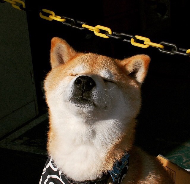 时间的草稿,马赛、加纳与一场永不落幕的决赛