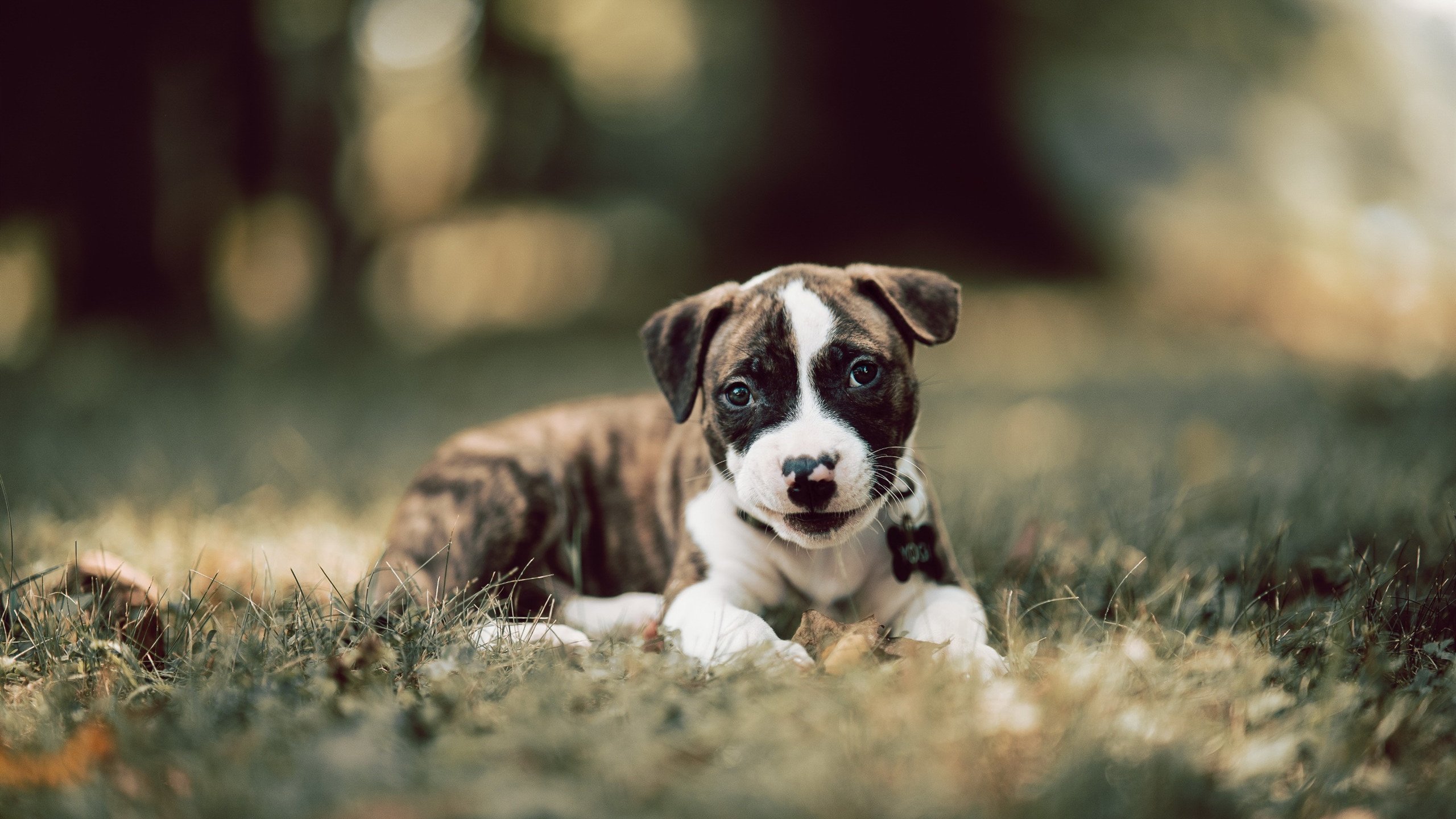 城门与尖刀，当卡塞米罗筑起叹息之墙，英格兰刺出最后一剑