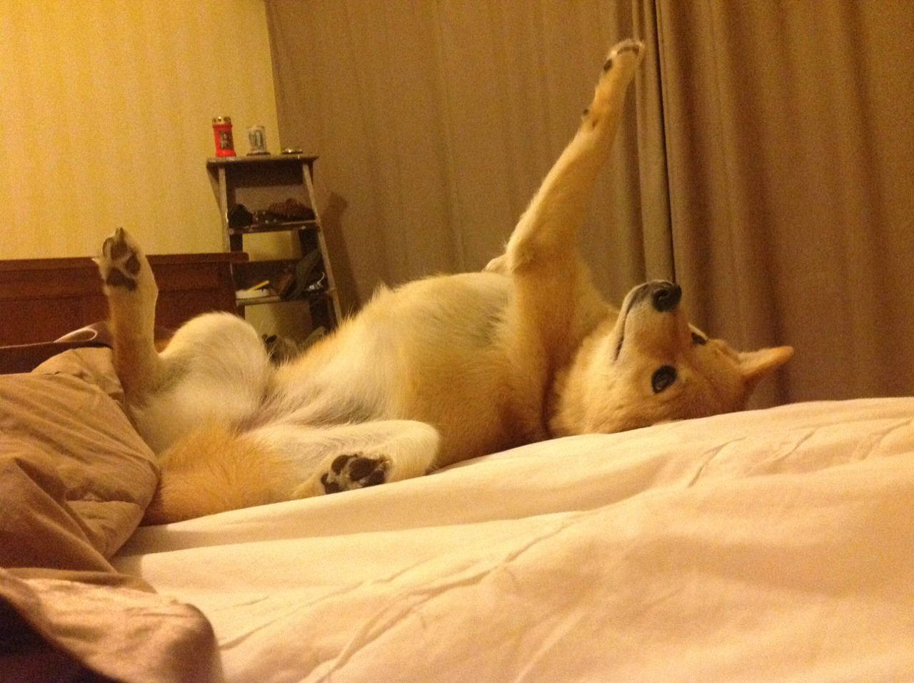 字母哥再度封神！关键战一锤定音，国王力克骑士展现争冠决心