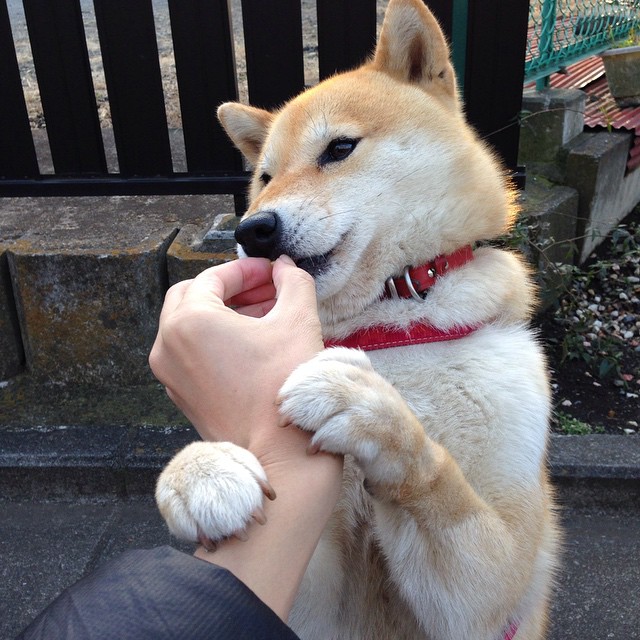 西班牙不屈魂，皇家社会逆转法兰西巨人，德布劳内绽放冷静光芒