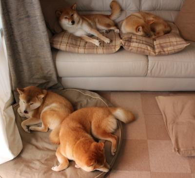 征服者威廉兵临城下，传奇门神独守几内亚孤城