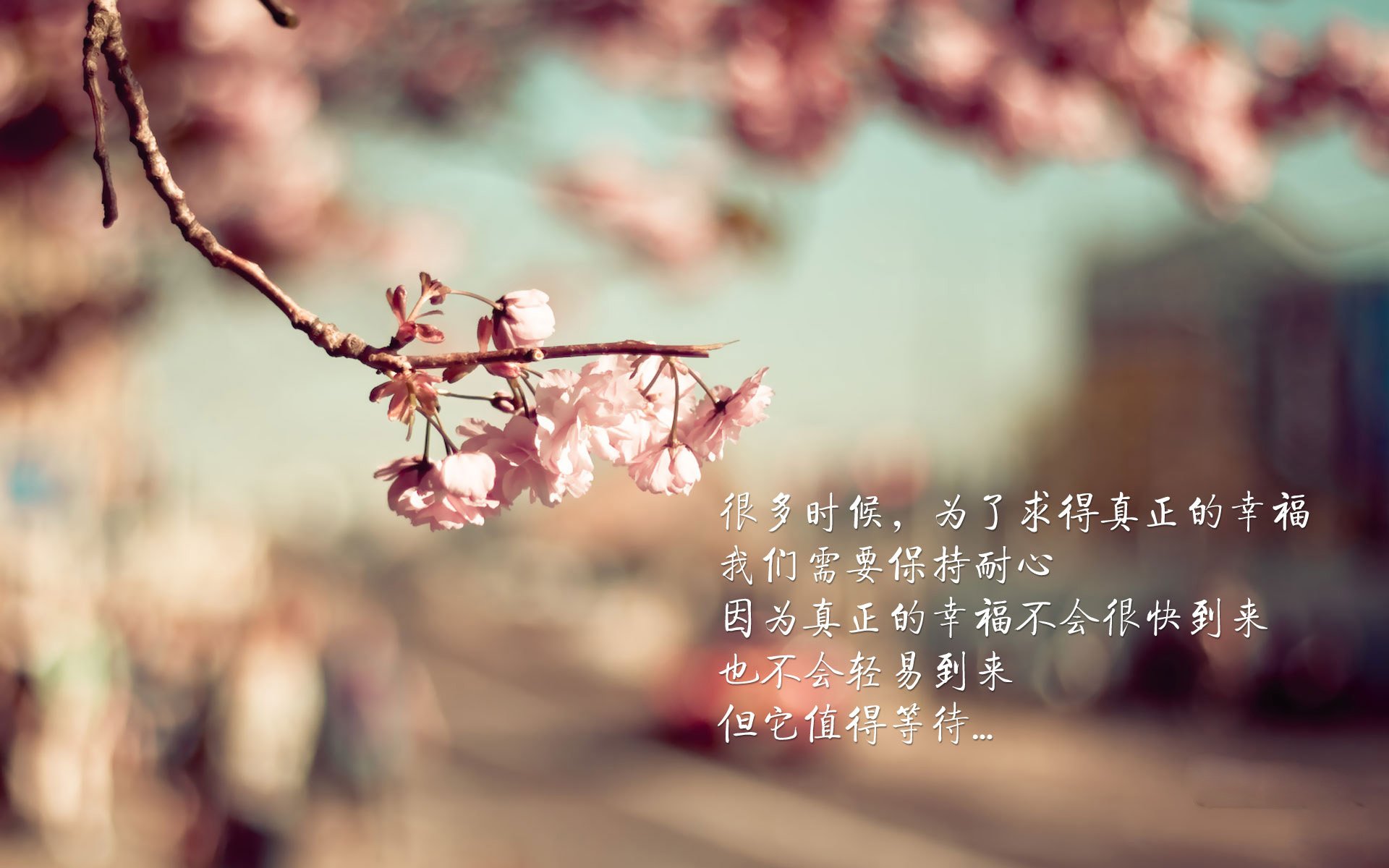 平行宇宙的交汇点,当巴西拿下爱尔兰,卢卡库如何成为关键先生