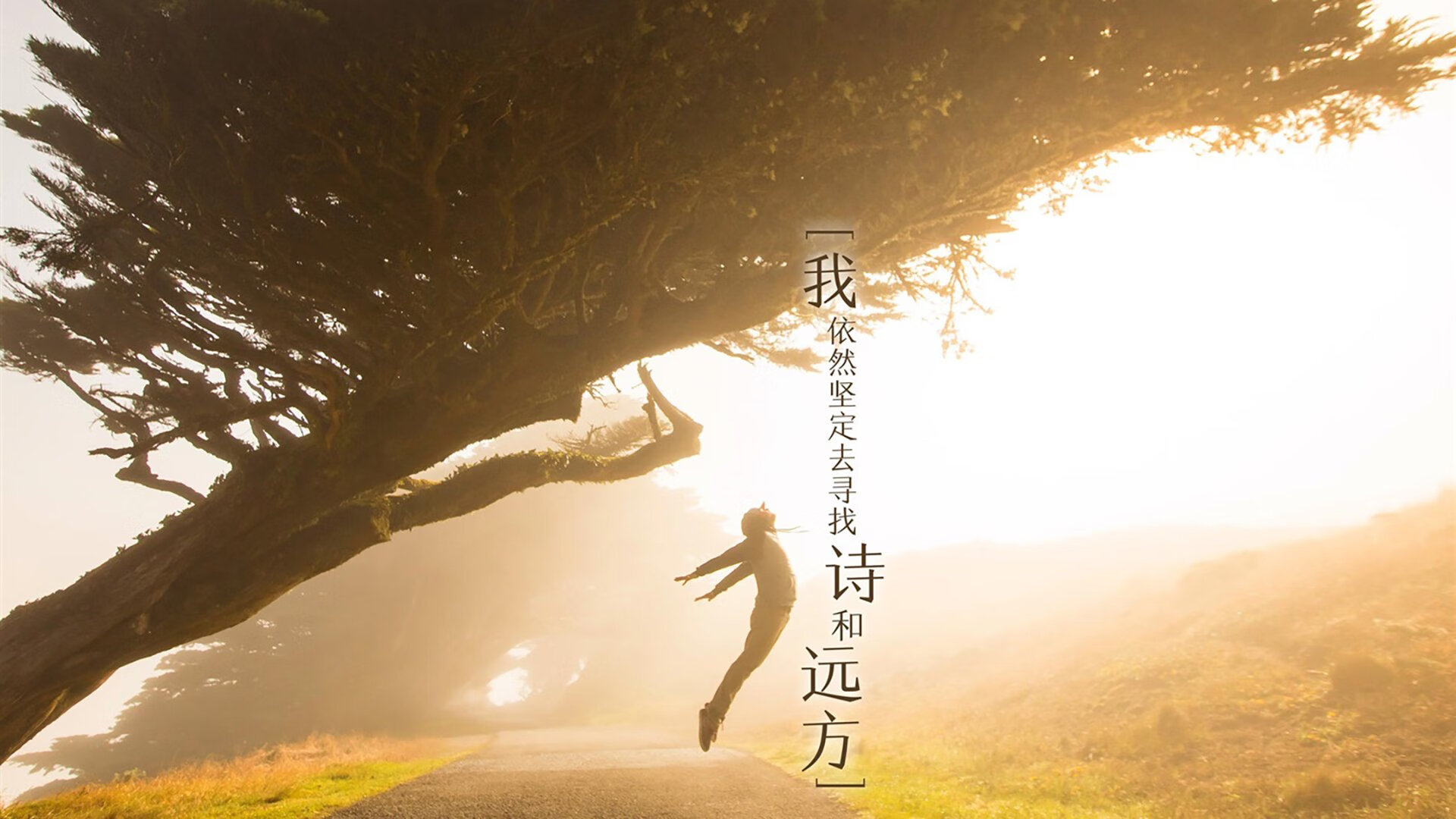 逆转狂潮中的定海神针，阿劳霍双响导演莱比锡奇迹夜