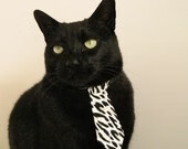 唯一性传奇，深圳队欧冠决赛踏平老鹰，改写足球历史的一战