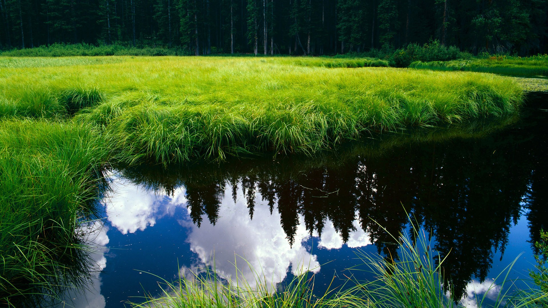 新铁幕,塞内加尔式防守哲学如何压制马赛,以及库尔图瓦的终极答卷