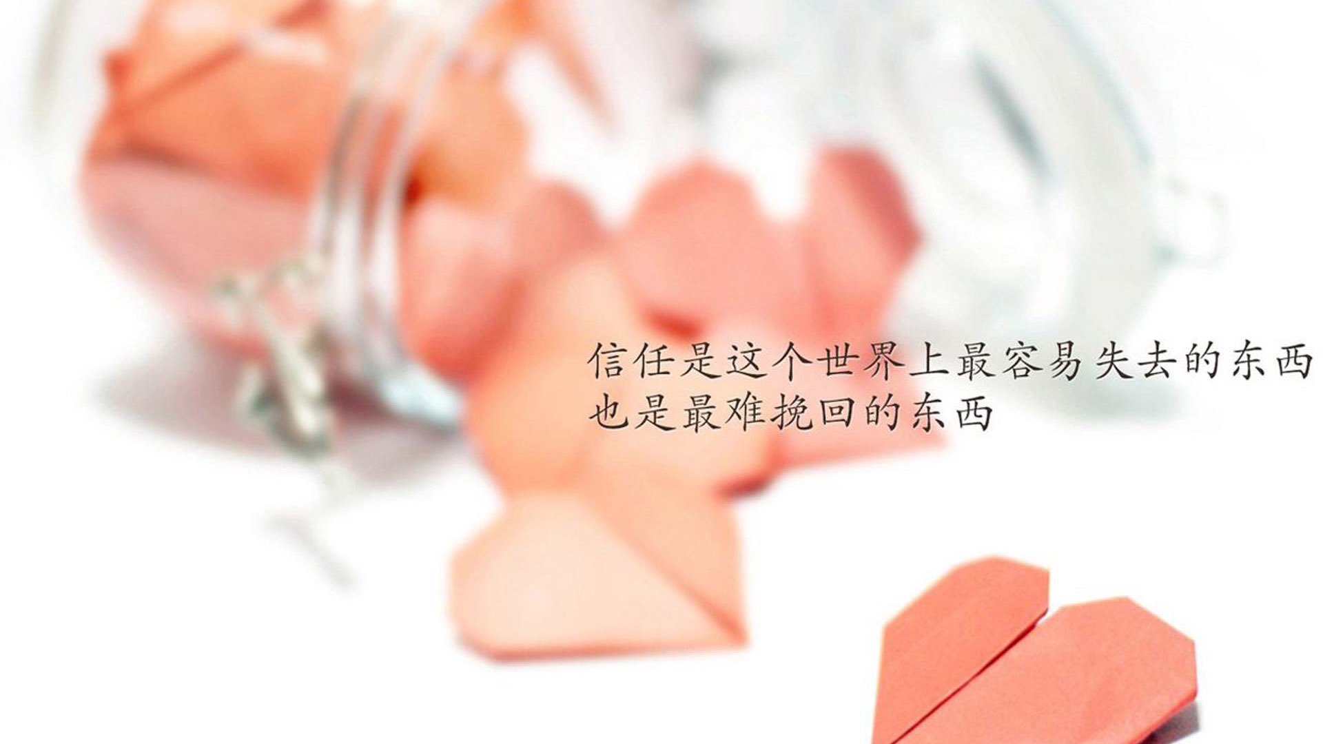 独行侠的燎原之火，爱德华兹孤身挑战辽宁王朝